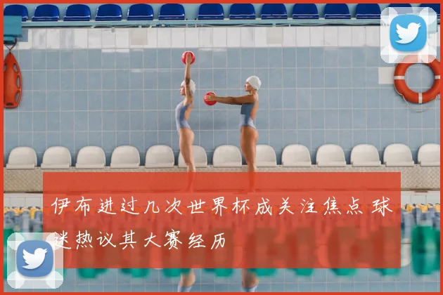 伊布进过几次世界杯成关注焦点 球迷热议其大赛经历