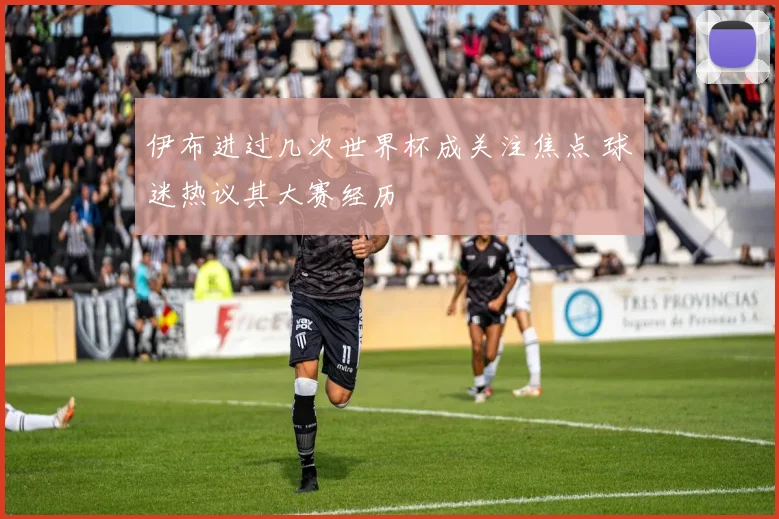 伊布进过几次世界杯成关注焦点 球迷热议其大赛经历