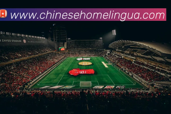奖项证书