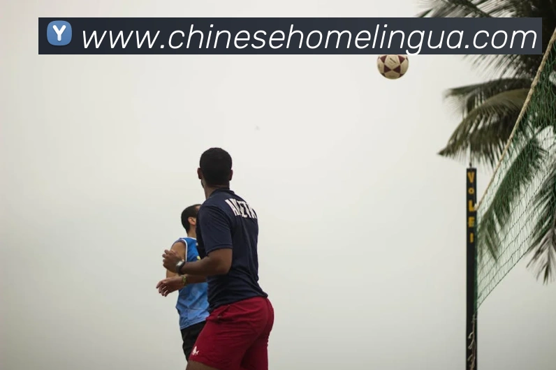 奖项证书